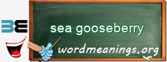 WordMeaning blackboard for sea gooseberry